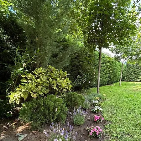 Republic5 Garden Wellness *